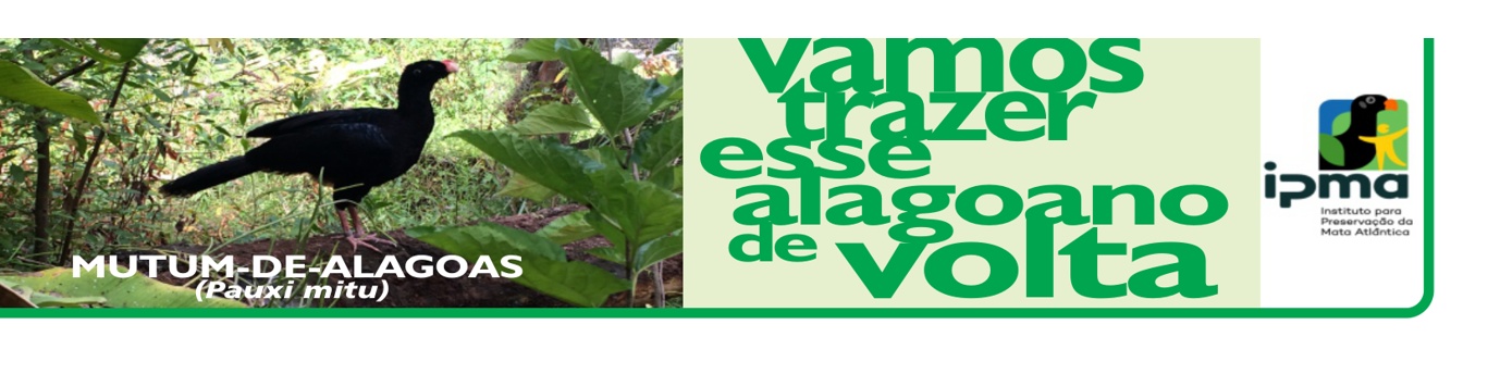 Projeto Coração Verde | Mata Atlântica IPMA