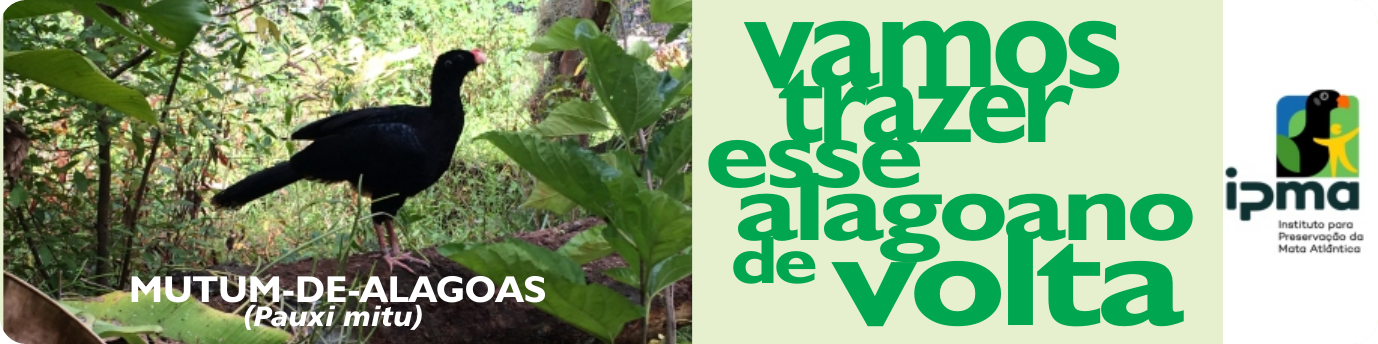 Projeto Coração Verde | Mata Atlântica IPMA