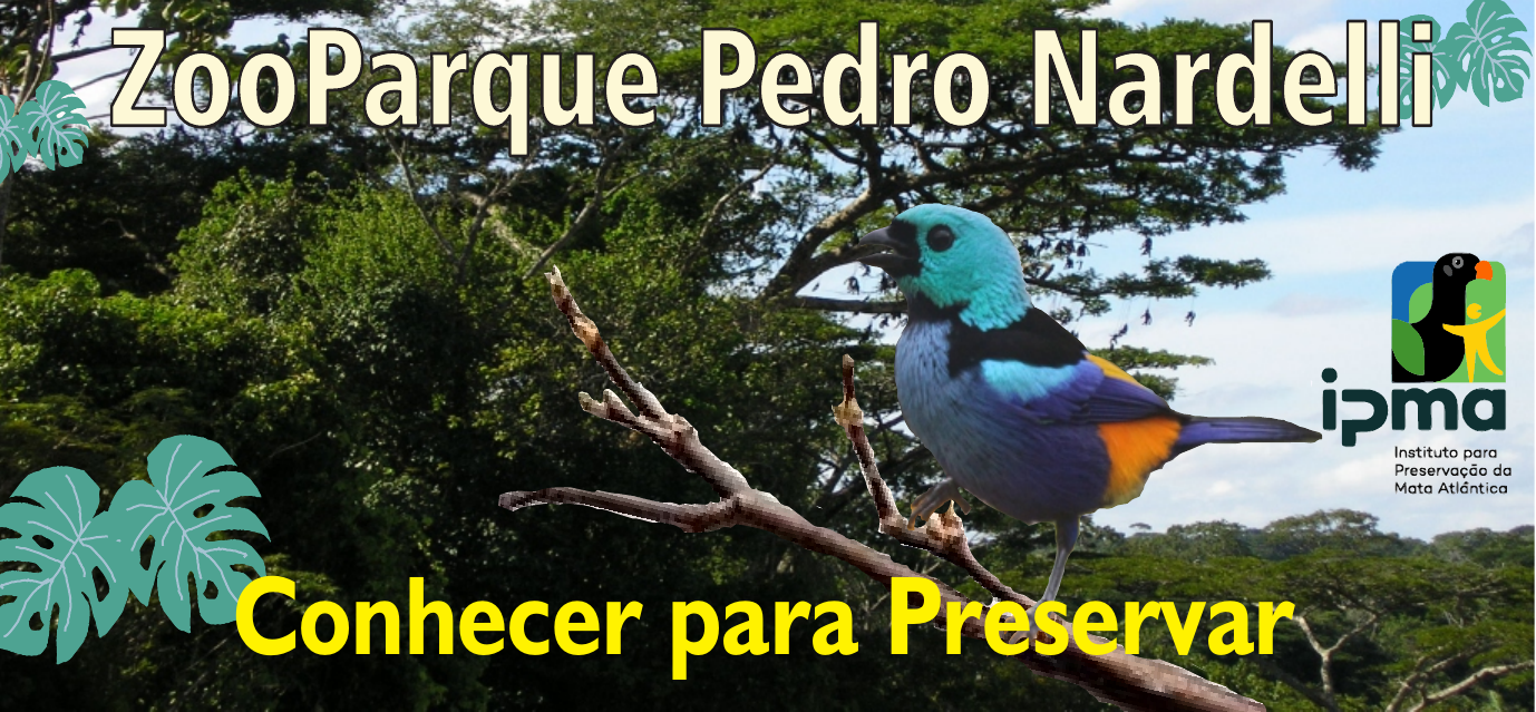ZooParque Pedro Nardelli | Projeto IPMA